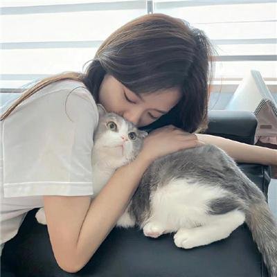 盗墓同盟