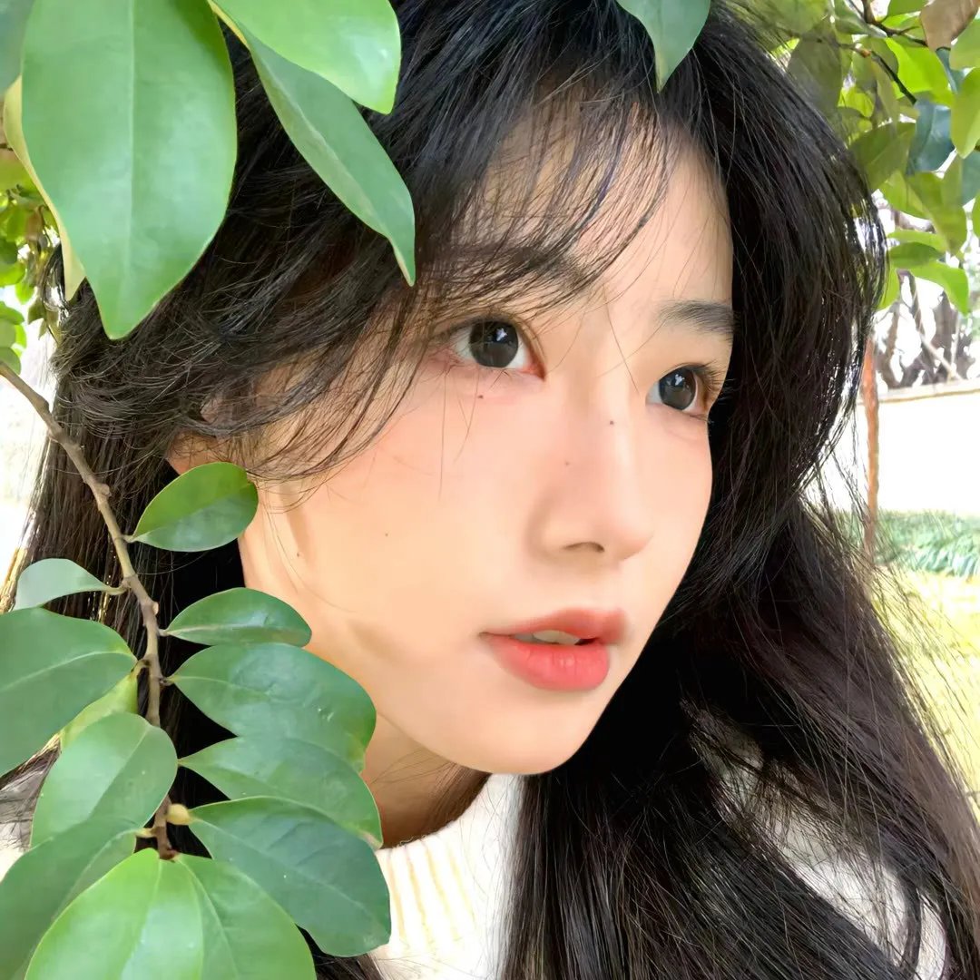那些鸟事